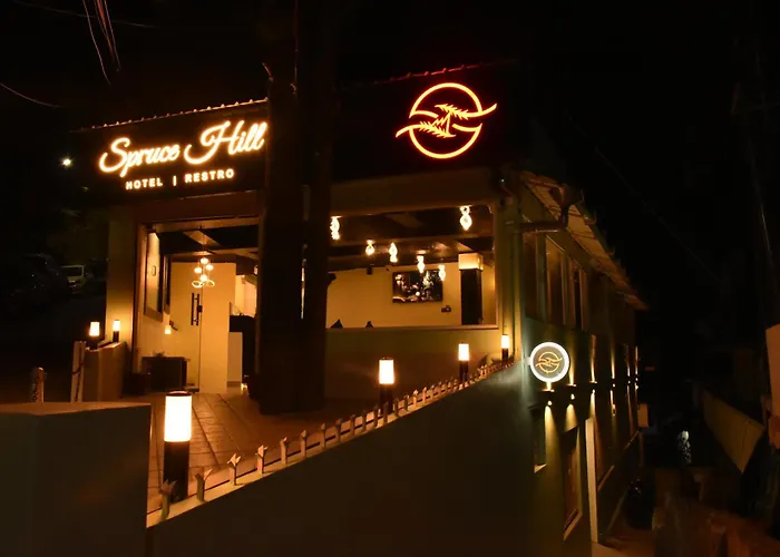 Nainital 4 Star Hotels